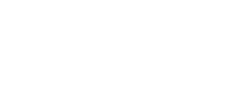 Digilligence Digital Solution_White Logo